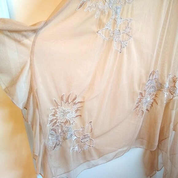 ZARA Peach Elegant Sheer Embroidered Floral-Lace mesh dress - Picture 4 of 9